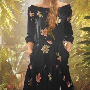 Anthropologie- Lil brand Lolanthe dress